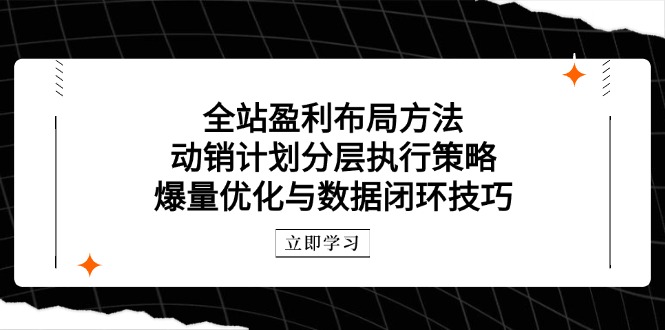 全站盈利布局方法：动销计划分层执行策略，爆量优化与数据闭环技巧-灵创汇