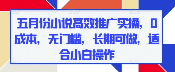 五月份小说高效推广实操，0成本，无门槛，长期可做，适合小白操作-灵创汇