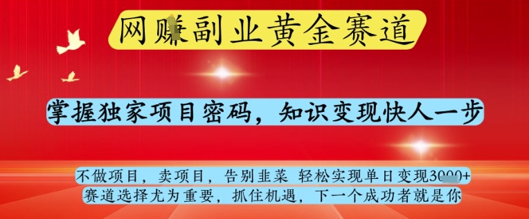网创副业黄全赛道，掌握独家项目密码，知识变现快人一步，告别韭菜轻松实现单日变现1k+【揭秘】-灵创汇