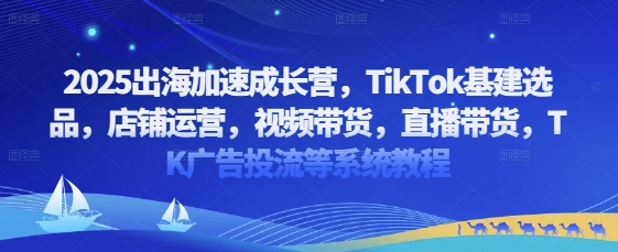 2025出海加速成长营，TikTok基建选品，店铺运营，视频带货，直播带货，TK广告投流等系统教程-灵创汇