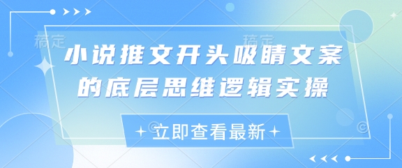 小说推文开头吸睛文案的底层思维逻辑实操-灵创汇