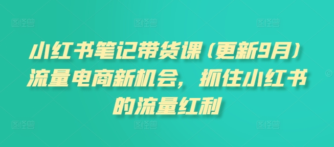 小红书笔记带货课(更新25年4月)流量电商新机会，抓住小红书的流量红利-灵创汇