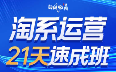 白凤电商·淘系运营21天速成班(更新4月)-搞钱基地