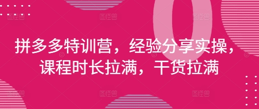 拼多多特训营，经验分享实操，课程时长拉满，干货拉满(更新25年4月)-灵创汇