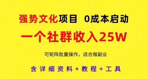 强势文化项目，一个社群收入25个W，0成本启动，可矩阵批量操作，原创详细实操教程-灵创汇