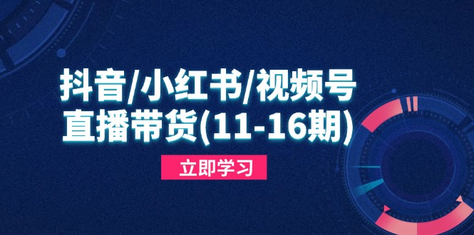 抖音/小红书/视频号/直播带货(11-16期-灵创汇