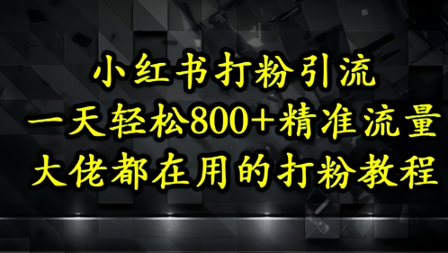 小红书打粉引流，一天轻松500+精准流量，大佬都在用的打粉教程-搞钱基地