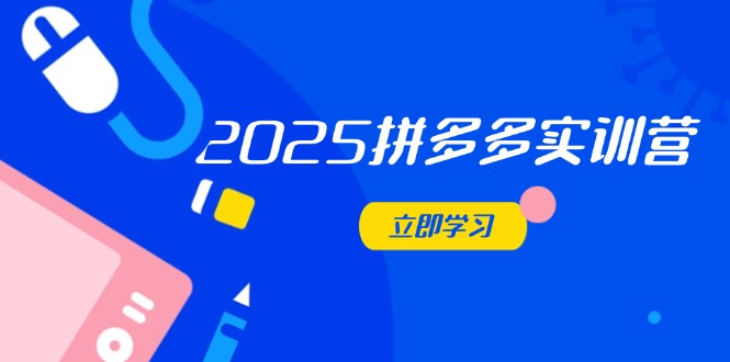 2025拼多多实训营：深度剖析运营关键，助力电商人快速提升-灵创汇