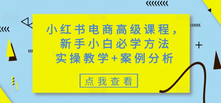 小红书电商高级课程，新手小白必学方法，实操教学+案例分析-搞钱基地