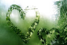 五大百万级抗癌针成功纳入首版商保目录，助力癌症患者减轻经济负担