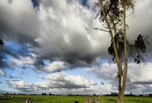 安世中国郑重声明：坚守诚信，维护行业秩序