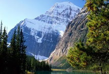 揭秘苟仲文在体坛的“江湖”地位与影响力