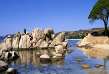 海关查获200粒三唑仑